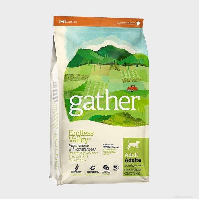 Vet‑Approved Dog Food Brands for Strong, Healthy Pets