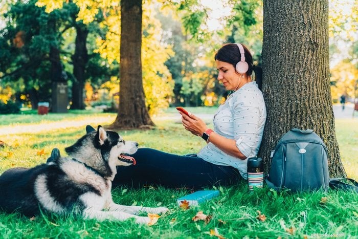 14 Common Dog Owner Mistakes to Avoid for a Happier Pet