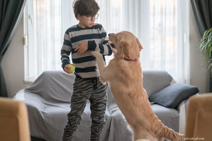14 Common Dog Owner Mistakes to Avoid for a Happier Pet