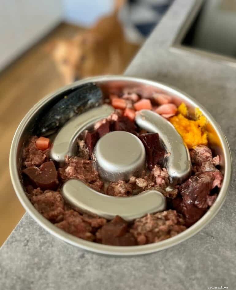 The Ultimate Guide to the Best Bowls for Raw Dog Food