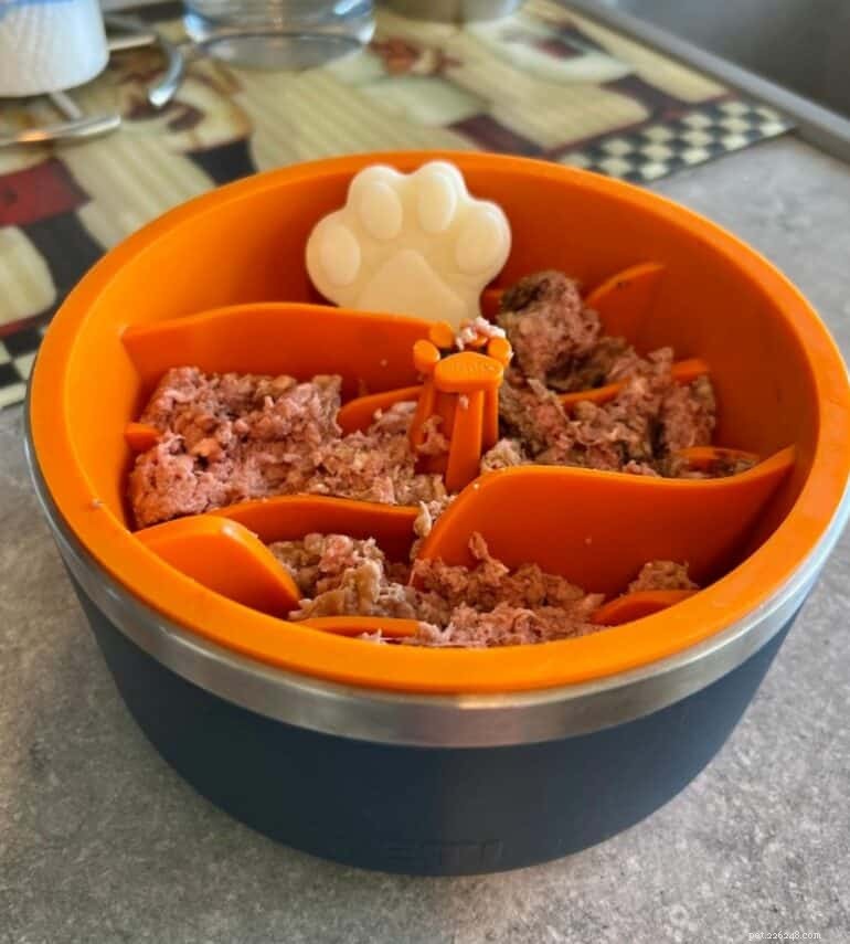 The Ultimate Guide to the Best Bowls for Raw Dog Food