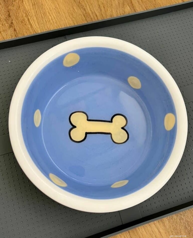The Ultimate Guide to the Best Bowls for Raw Dog Food