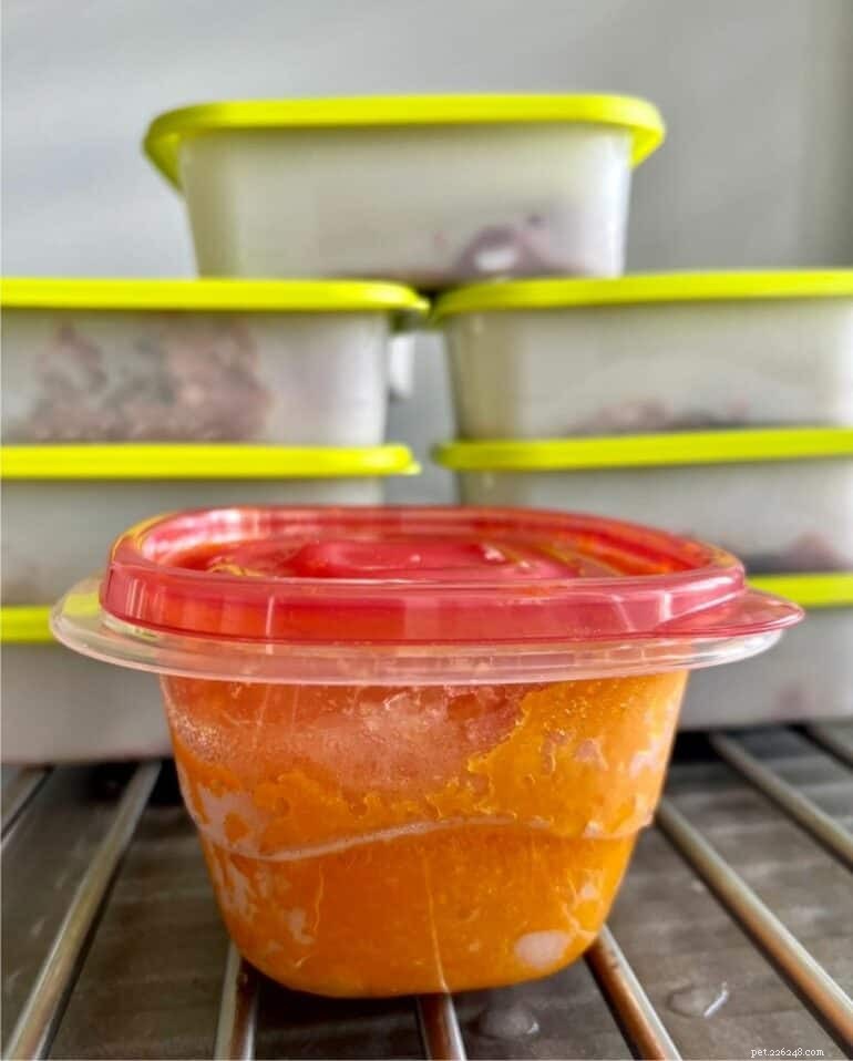 What to Feed a Raw‑Fed Dog With Diarrhea: Proven Remedies and Practical Guidance
