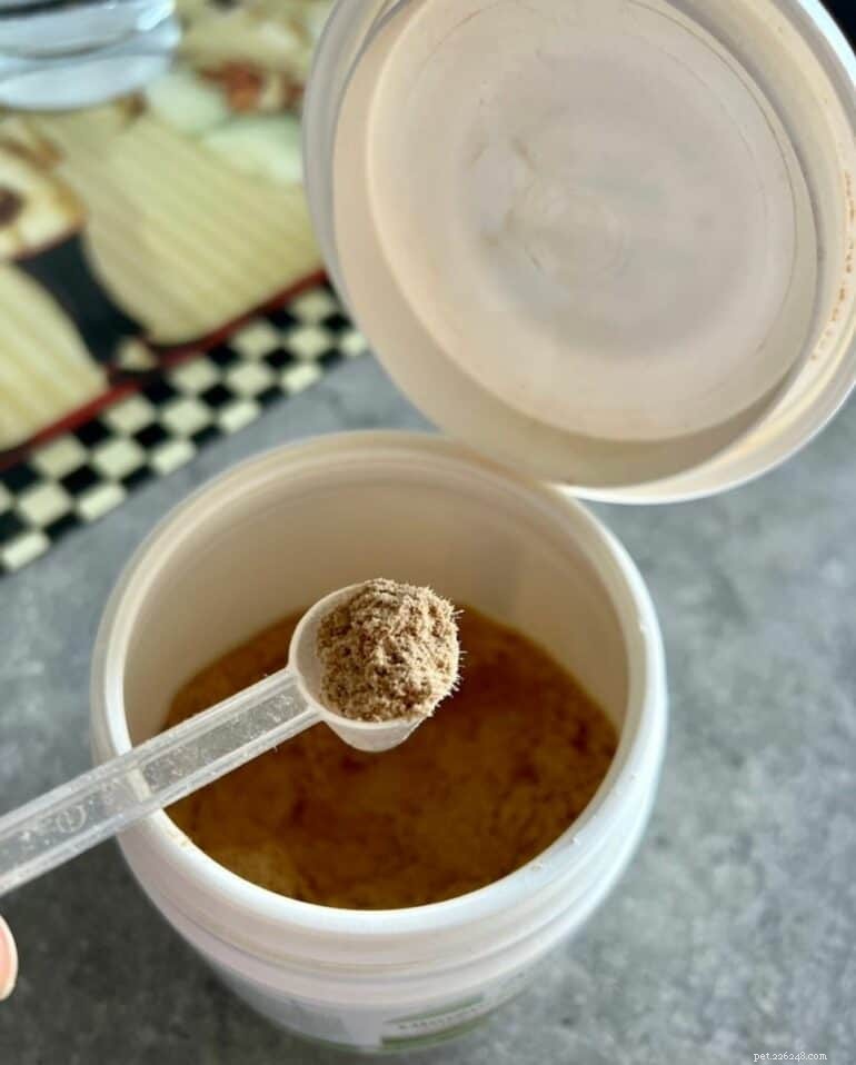 What to Feed a Raw‑Fed Dog With Diarrhea: Proven Remedies and Practical Guidance
