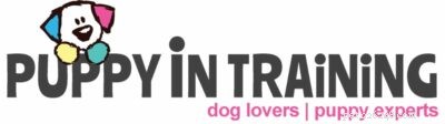 PuppyInTraining.com: Trusted Guide for New Puppy Owners