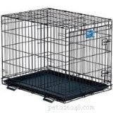 Top 5 Essential Puppy Products Every New Owner Needs
