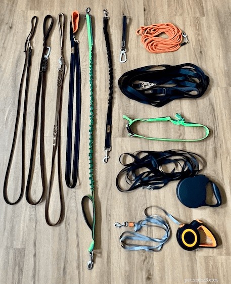 How Long Should a Dog Leash Be? Expert Guide to Choosing the Right Length