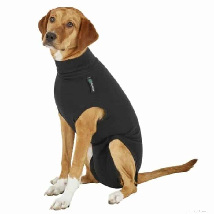 When Can You Safely Remove a Cone After Your Dog’s Spay or Neuter? A Veterinarian’s Guide