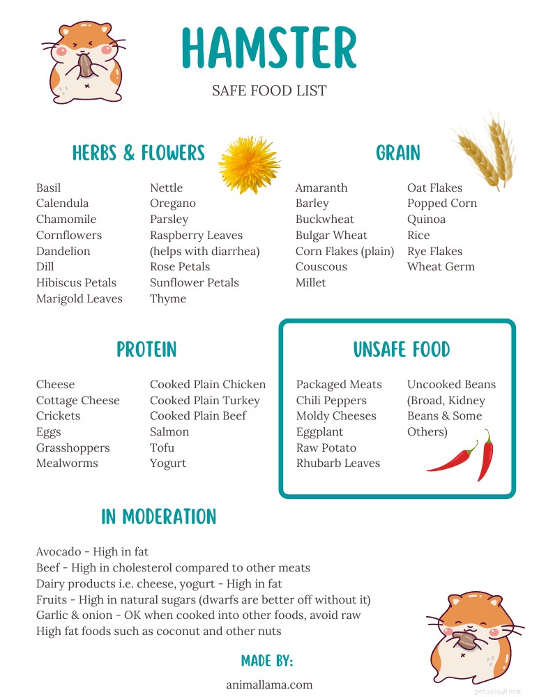 Hamster Nutrition Guide: Safe Foods, Unsafe Foods, and Feeding Tips