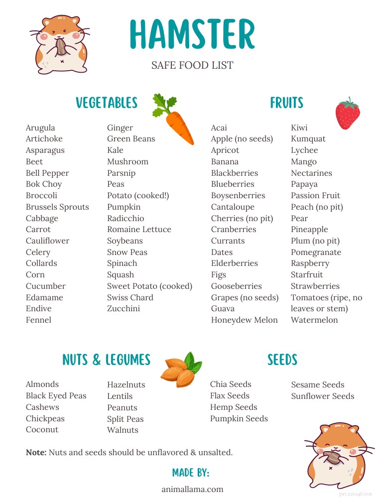 Hamster Nutrition Guide: Safe Foods, Unsafe Foods, and Feeding Tips