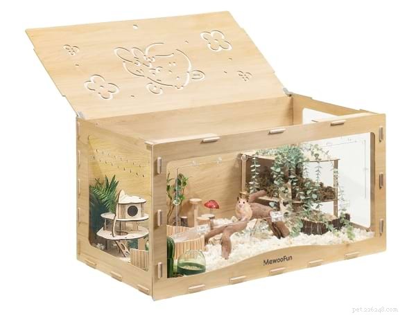 Choosing Ethical Hamster Cages: Size, Safety, and Enrichment for Your Pet