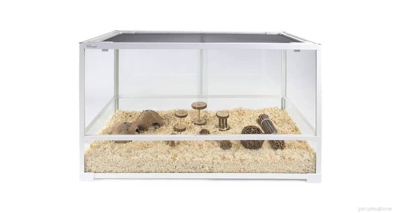 Choosing Ethical Hamster Cages: Size, Safety, and Enrichment for Your Pet