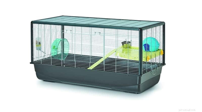 Choosing Ethical Hamster Cages: Size, Safety, and Enrichment for Your Pet