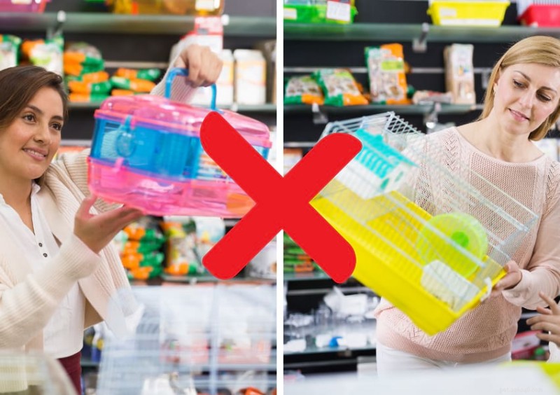 Choosing Ethical Hamster Cages: Size, Safety, and Enrichment for Your Pet