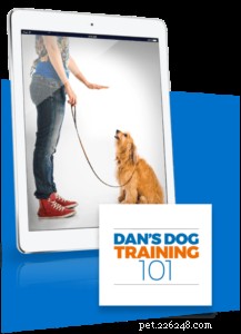 Expert Online Dog Training with Doggy Dan – Proven Methods & Money‑Back Guarantee