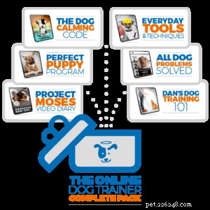 The Online Dog Trainer Review 2026: Proven Techniques, Affordable Pricing & Endorsements