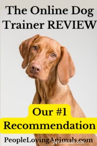 The Online Dog Trainer Review 2026: Proven Techniques, Affordable Pricing & Endorsements