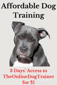 Affordable Dog Training: Proven Online Program by Professional Trainer Doggy Dan
