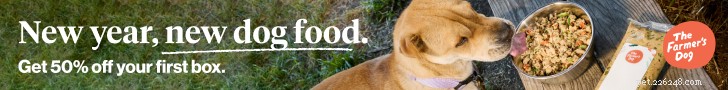 Expert Guide to Your Dog’s Weight Management: Proven Diet & Exercise Strategies