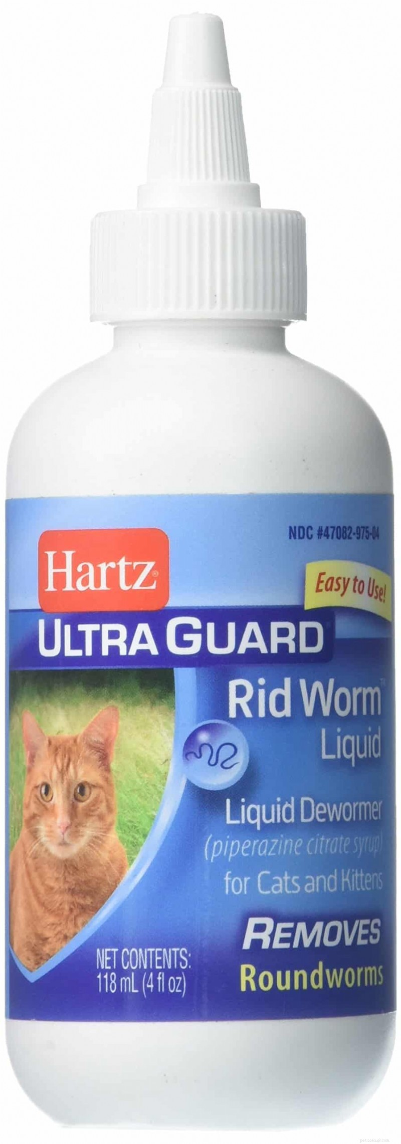 2024 Guide: The Best Cat Worm Treatments for Optimal Health