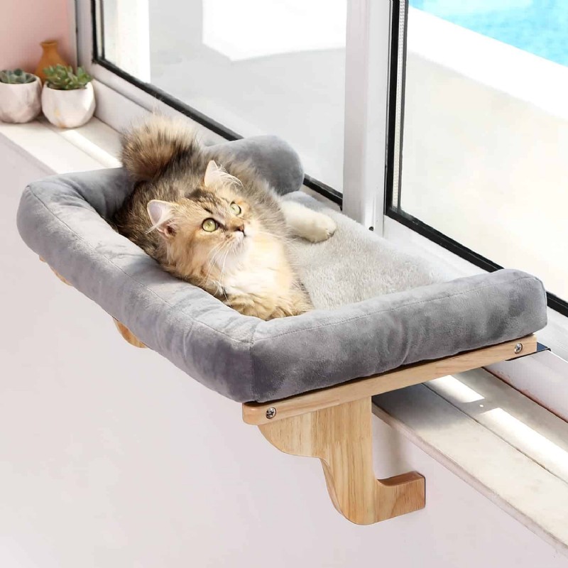 How to Choose the Best Cat Perch: Expert Guide & Top Picks