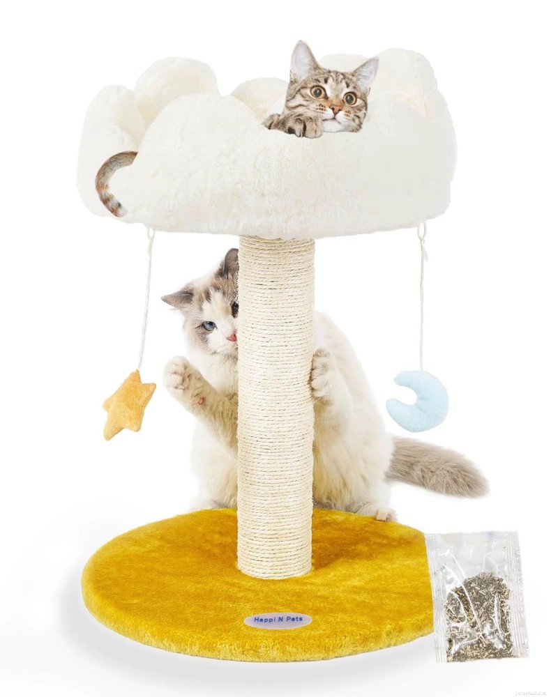 How to Choose the Best Cat Perch: Expert Guide & Top Picks