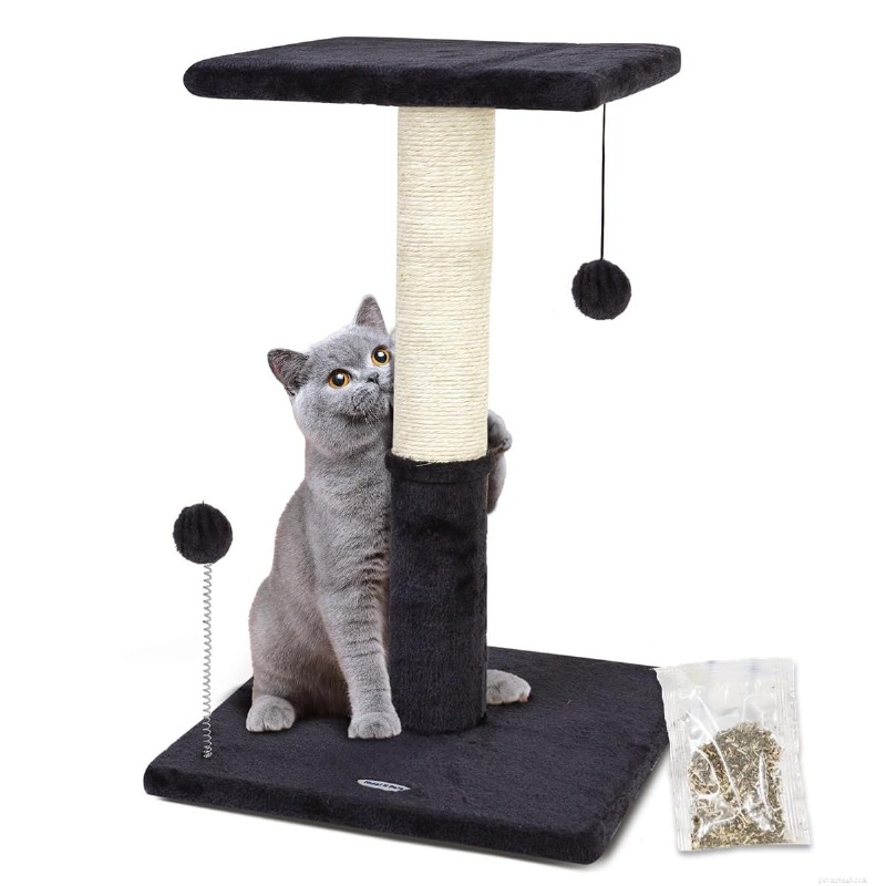 How to Choose the Best Cat Perch: Expert Guide & Top Picks