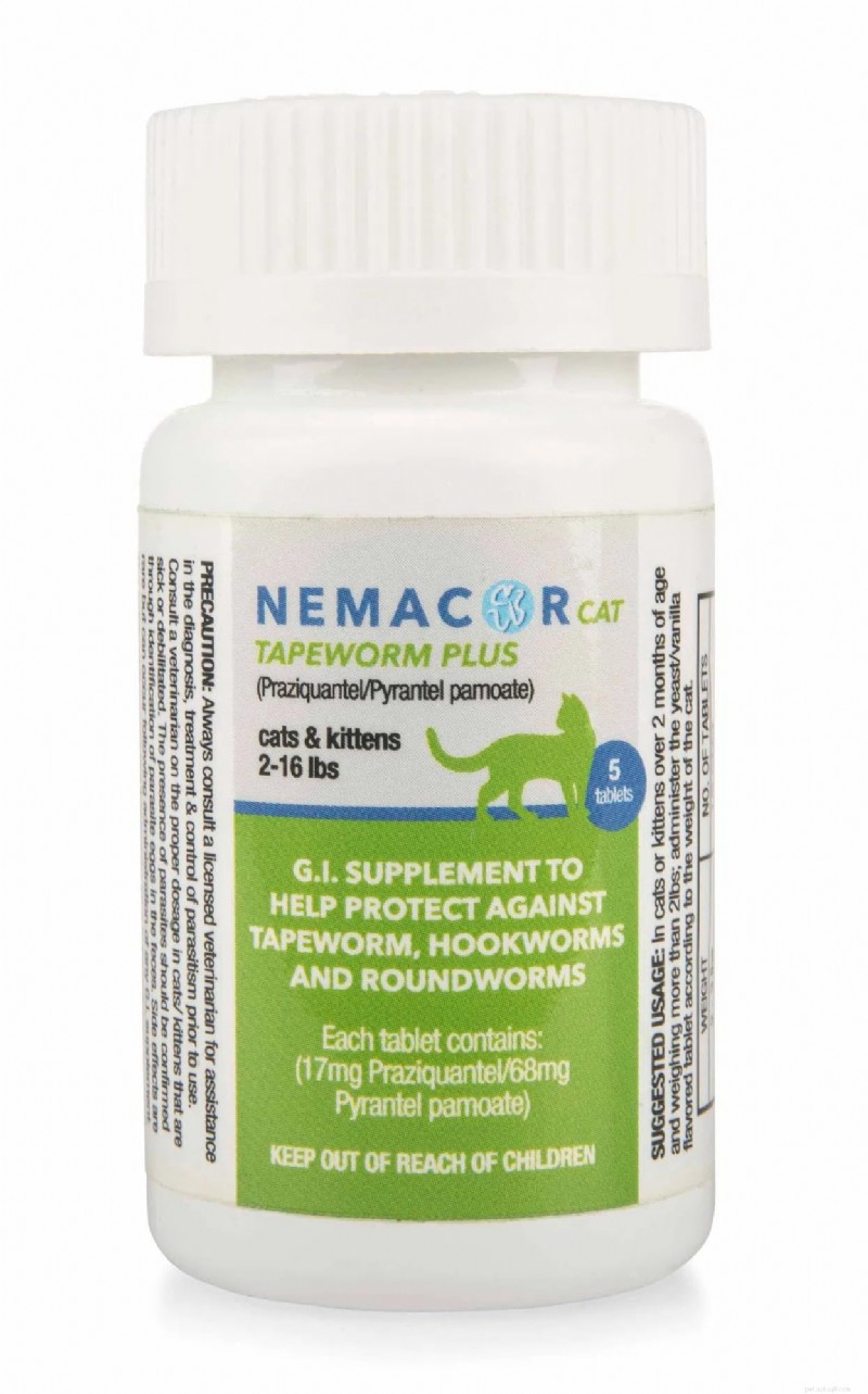 Top Cat Tapeworm Treatments 2024: Expert Guide to Safe, Effective Dewormers