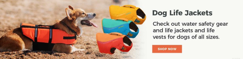 Ultimate Guide to Camping & Hiking with Dogs in Canada – Expert Tips & Best Trails