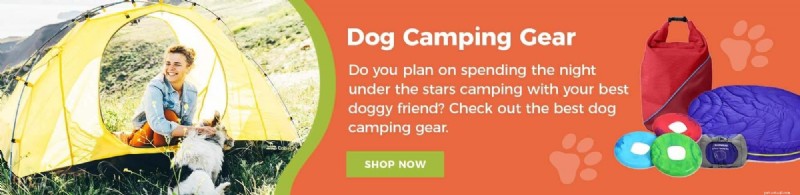 Ultimate Guide to Camping & Hiking with Dogs in Canada – Expert Tips & Best Trails