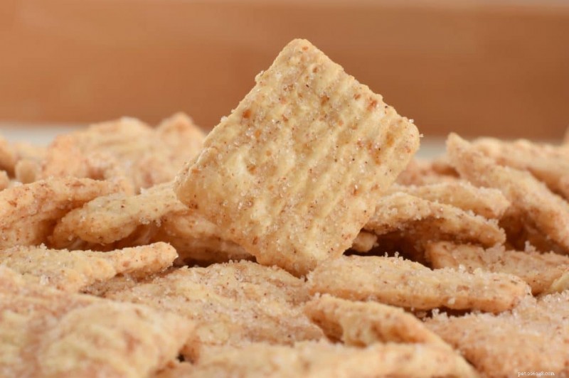 Can Cats Eat Cinnamon Toast Crunch? The Risks and Safer Alternatives