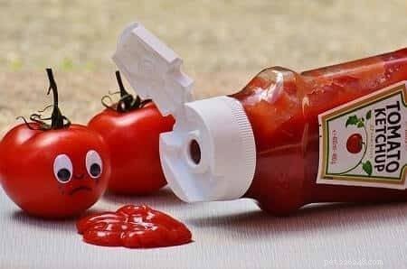 Is Ketchup Safe for Cats? A Veterinarian’s Guide