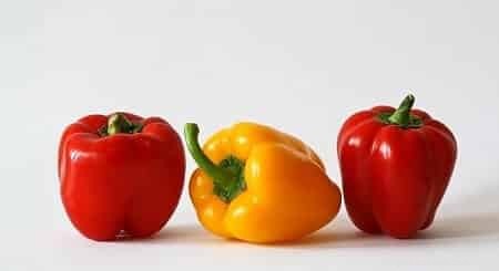 Can Cats Safely Eat Bell Peppers? A Practical Guide