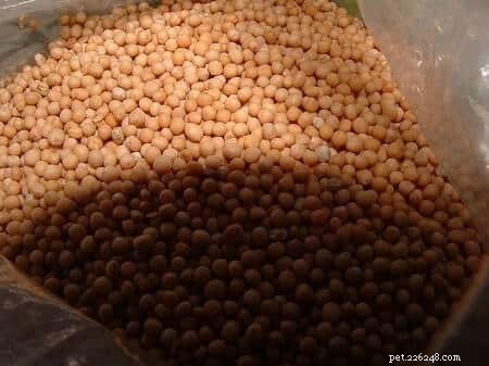 Is Mustard Safe for Cats? Understanding the Risks