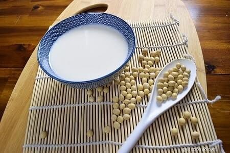 Can Cats Eat Tofu? Understanding the Risks of Soy‑Based Foods for Your Feline