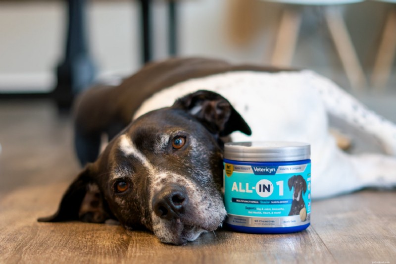 Dog Joint Health 101: Causes, Warning Signs, and Natural Supplements for Long‑Term Mobility