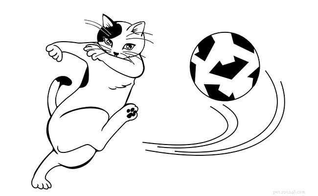 17 Essential Ways to Protect Your Cat from Harm
