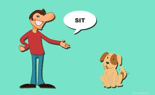 Master Your Dog: Key Commands & Proven Training Tips