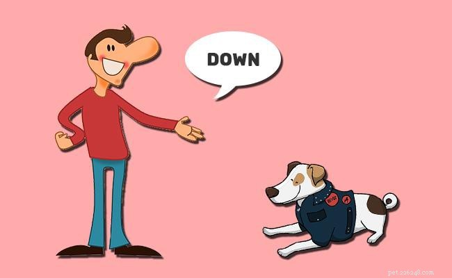 Master Your Dog: Key Commands & Proven Training Tips