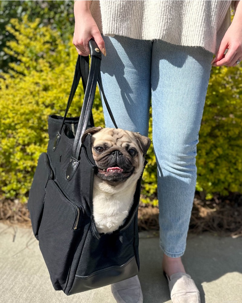 The Ultimate Small‑Dog Tote Carrier: Expert Guide & Top Pick