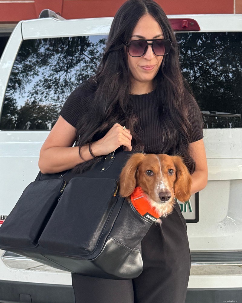 The Ultimate Small‑Dog Tote Carrier: Expert Guide & Top Pick