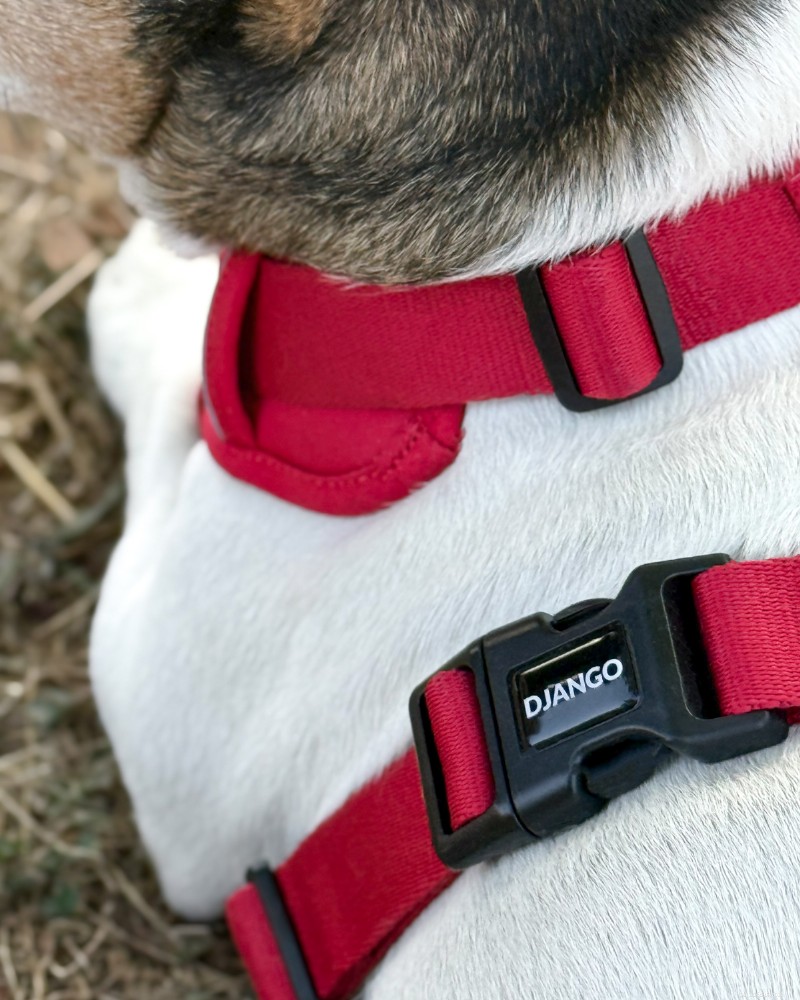Escape‑Proof Harness for Small Dogs: Expert Guide & Top Recommendation