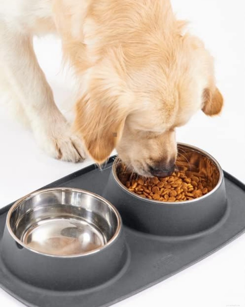 Essential Puppy Gear: What You Need Before Your New Furry Friend Arrives