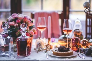 5 Holiday Foods That Are Dangerous for Pets – Protect Your Dogs & Cats