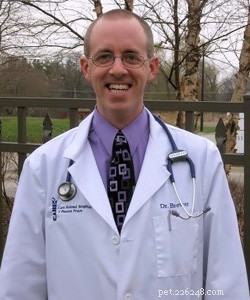 Top 3 Trusted Veterinarians in Kenosha, WI – Expert Care & Compassion