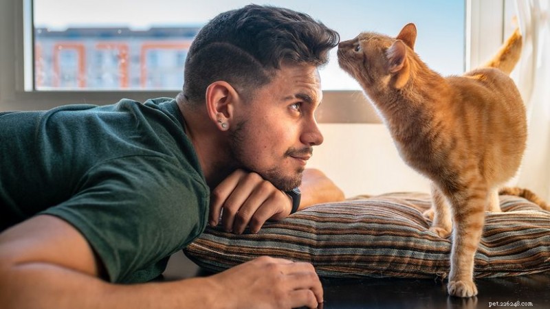Why Do Cats Headbutt? Decoding Their Meaningful Nudge