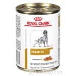 Dog UTI Treatment Plan: What to Expect – A Vet‑Approved Guide