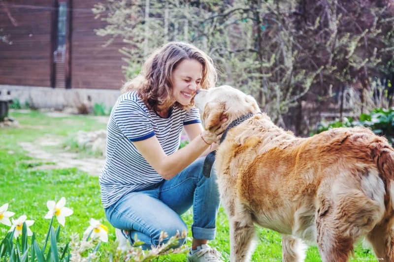 Euthanasia 101: 8 Signs Your Dog Is Ready for a Gentle Goodbye