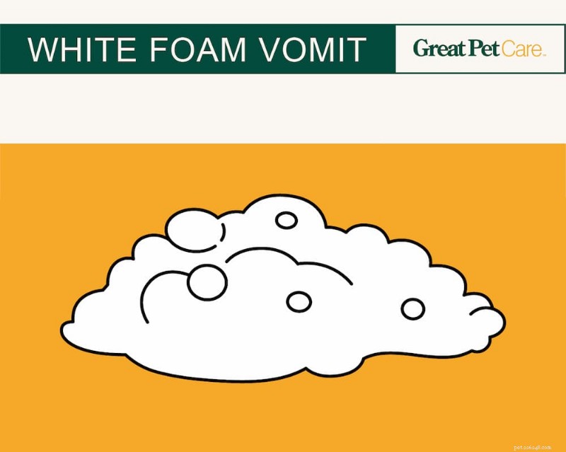 Dog Vomit Color Guide: Interpreting Every Shade for Better Health Care