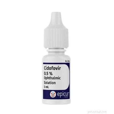 Cat Eye Drops: Types, Uses, and Vet-Recommended Options